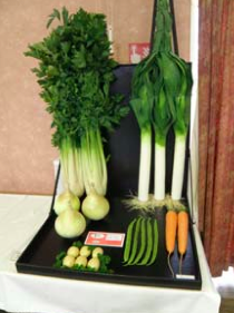 Annual flower show and vegetable exhibit