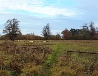 Proposed Gladman/ Redrow development