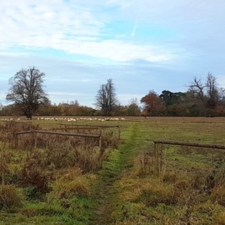 Proposed Gladman/ Redrow development